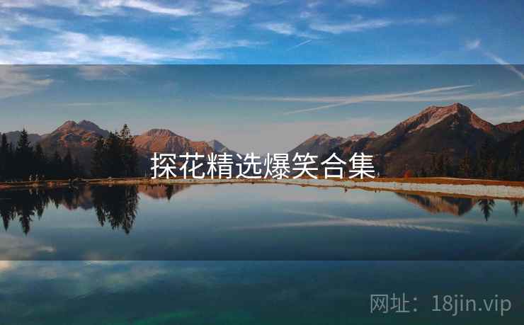 探花精选爆笑合集