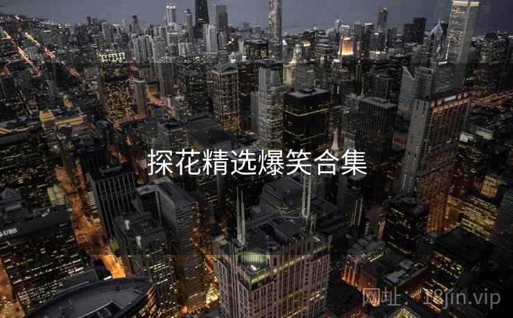 探花精选爆笑合集