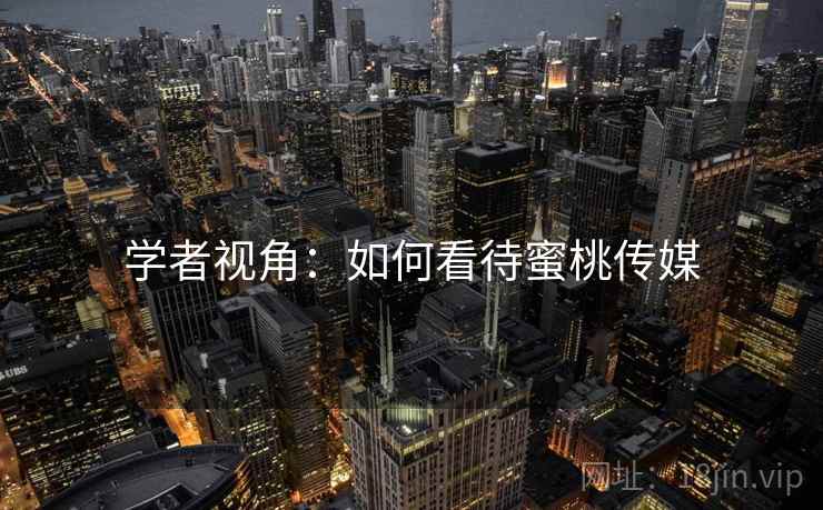 学者视角：如何看待蜜桃传媒