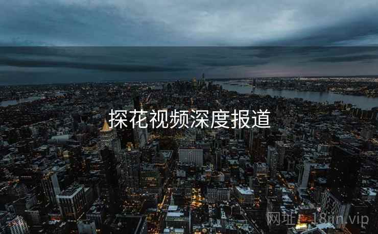 探花视频深度报道