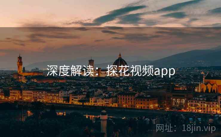 深度解读：探花视频app