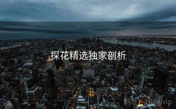 探花精选独家剖析