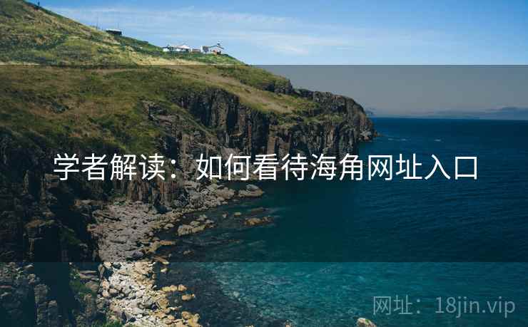 学者解读：如何看待海角网址入口