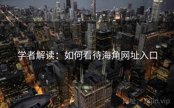 学者解读：如何看待海角网址入口