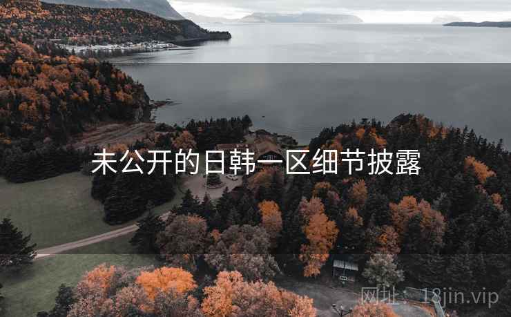 未公开的日韩一区细节披露