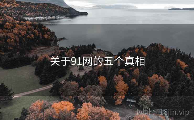 关于91网的五个真相
