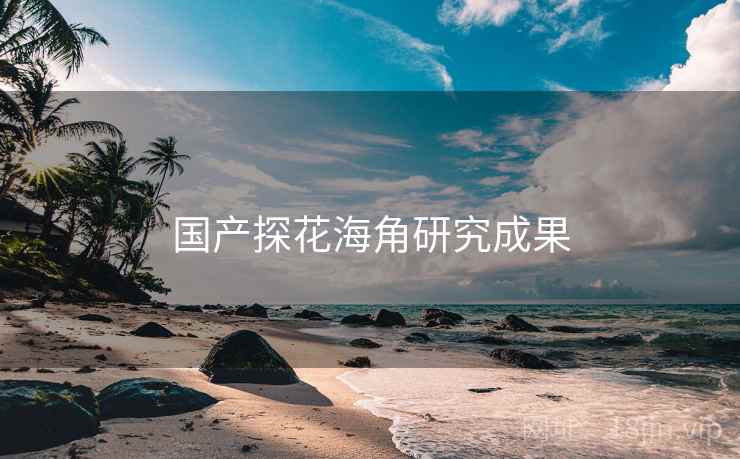 国产探花海角研究成果