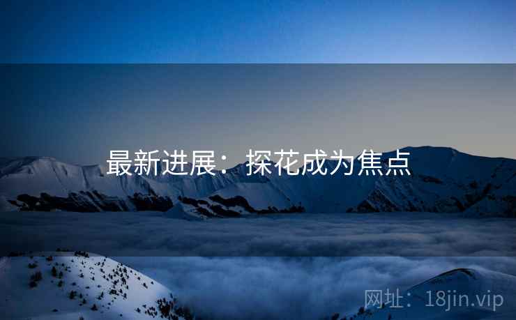 最新进展：探花成为焦点