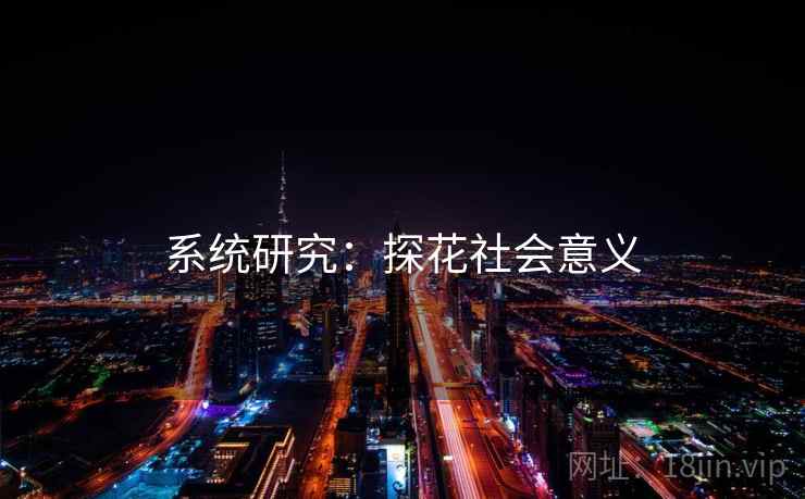 系统研究：探花社会意义