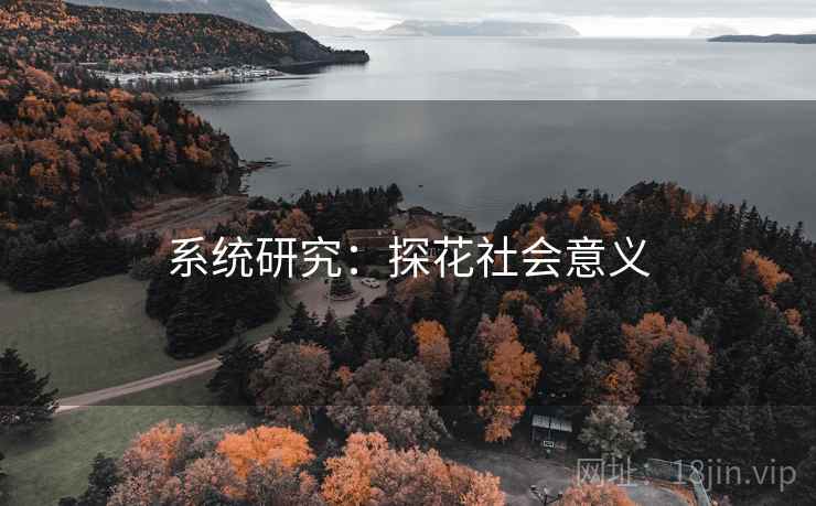 系统研究：探花社会意义
