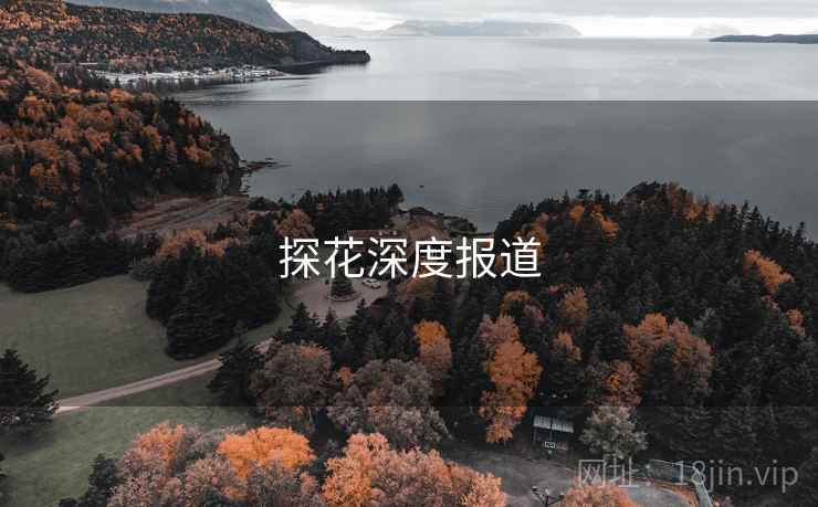 探花深度报道