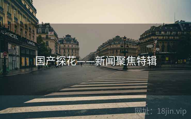 国产探花——新闻聚焦特辑