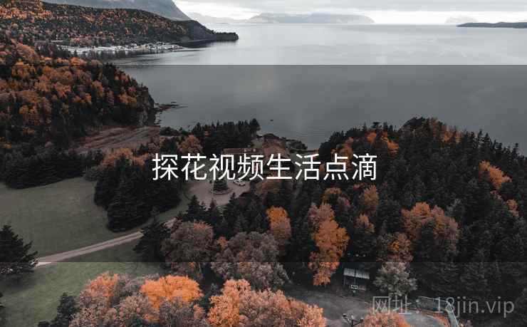 探花视频生活点滴