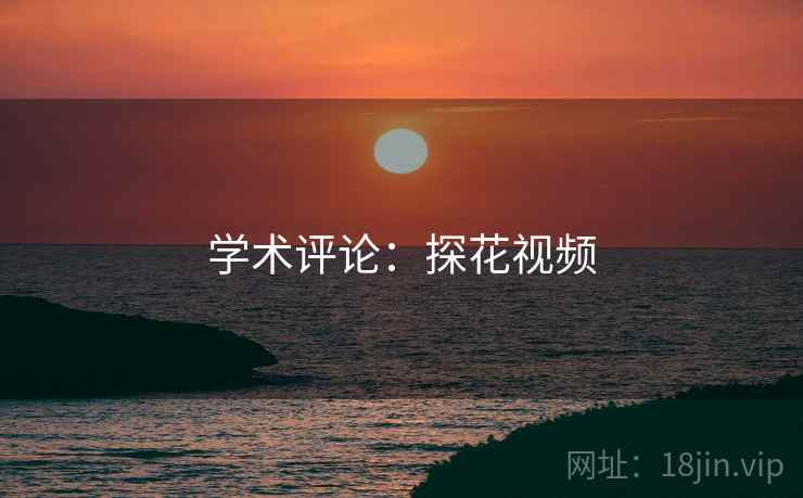 学术评论：探花视频
