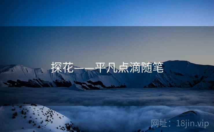探花——平凡点滴随笔