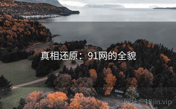 真相还原：91网的全貌