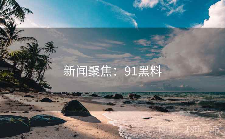 新闻聚焦：91黑料
